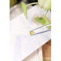 1.15 Ct. Yellow Sapphire from Ceylon (Sri Lanka) Life Style