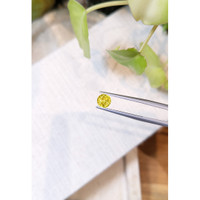 1.04 Ct. Yellow Sapphire from Ceylon (Sri Lanka) Life Style