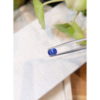 2.23 Ct. Blue Sapphire from Ceylon (Sri Lanka) Life Style
