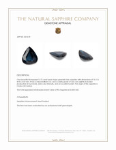 2.75 Ct. Blue Sapphire from Ceylon (Sri Lanka) Appraisal