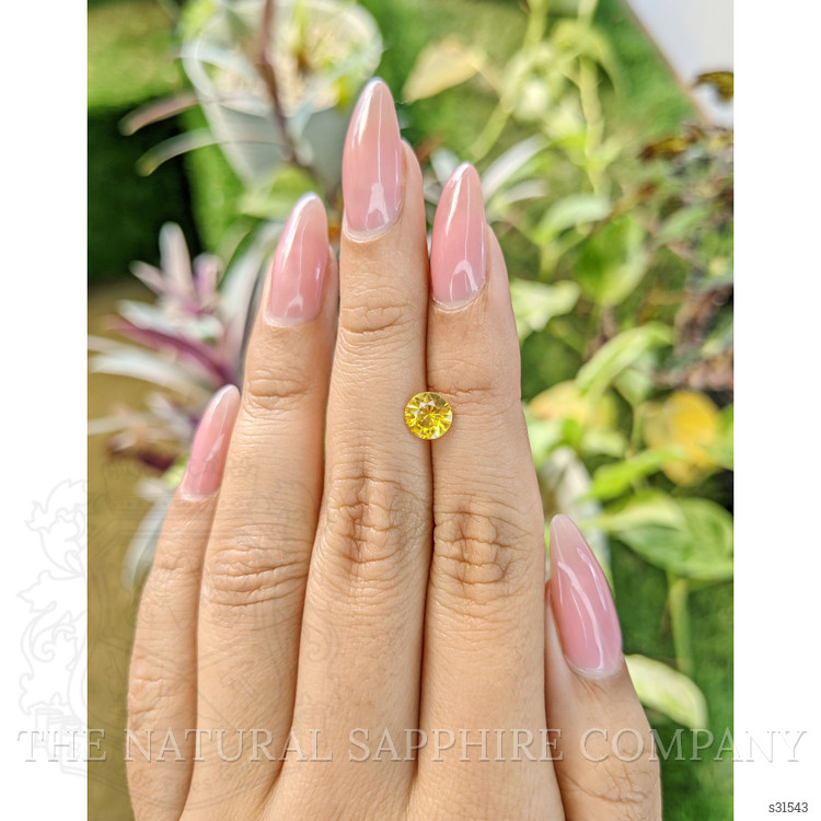 1.05 Ct. Yellow Sapphire from Ceylon (Sri Lanka)