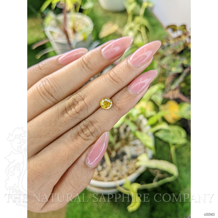 1.05 Ct. Yellow Sapphire from Ceylon (Sri Lanka)
