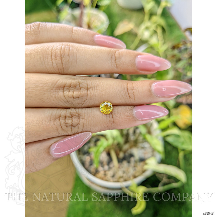1.05 Ct. Yellow Sapphire from Ceylon (Sri Lanka)