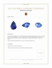 0.93 Ct. Blue Sapphire from Ceylon (Sri Lanka) Appraisal