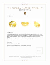 1.01 Ct. Yellow Sapphire from Ceylon (Sri Lanka) Appraisal