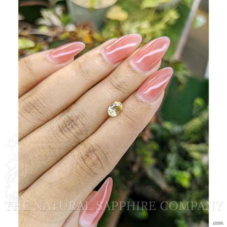 1.12 Ct. Yellow Sapphire from Ceylon (Sri Lanka)
