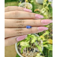 1.64 Ct. Blue Sapphire from Ceylon (Sri Lanka) Life Style