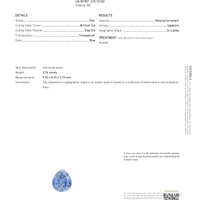 3.74 Ct. Blue Sapphire from Ceylon (Sri Lanka) Scan Report