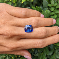 5.56 Ct. Blue Sapphire from Ceylon (Sri Lanka) Life Style