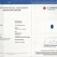 8.25 Ct. Blue Sapphire from Ceylon (Sri Lanka) Scan Report