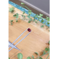 3.51 Ct. Padparadscha Sapphire from Ceylon (Sri Lanka) Life Style