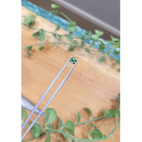 1.12 Ct. Bluish Green Sapphire from Madagascar Life Style