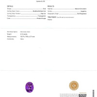 3.13 Ct. Pinkish Purple Sapphire from Ceylon (Sri Lanka) Scan Report