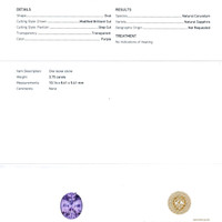Jewelry Scan Report