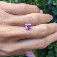 3.06 Ct. Pink Sapphire from Ceylon (Sri Lanka) Life Style