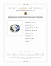 Jewelry Scan Report