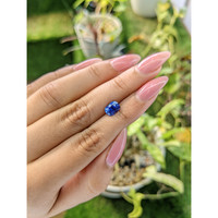 2.02 Ct. Blue Sapphire from Ceylon (Sri Lanka) Life Style