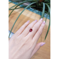 3.03 Ct. Reddish Orange Sapphire from Ceylon (Sri Lanka) Life Style
