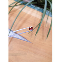 3.03 Ct. Reddish Orange Sapphire from Ceylon (Sri Lanka) Life Style