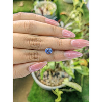1.60 Ct. Blue Sapphire from Ceylon (Sri Lanka) Life Style