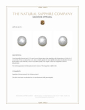 3.70 Ct. Grey Star Sapphire from Burma (Myanmar) Appraisal