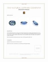 1.08 Ct. Greenish Blue Sapphire from Ceylon (Sri Lanka) Appraisal