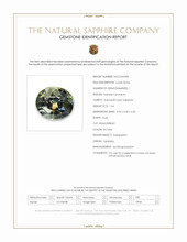 Jewelry Scan Report