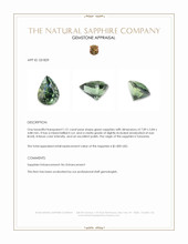 Jewelry Appraisal