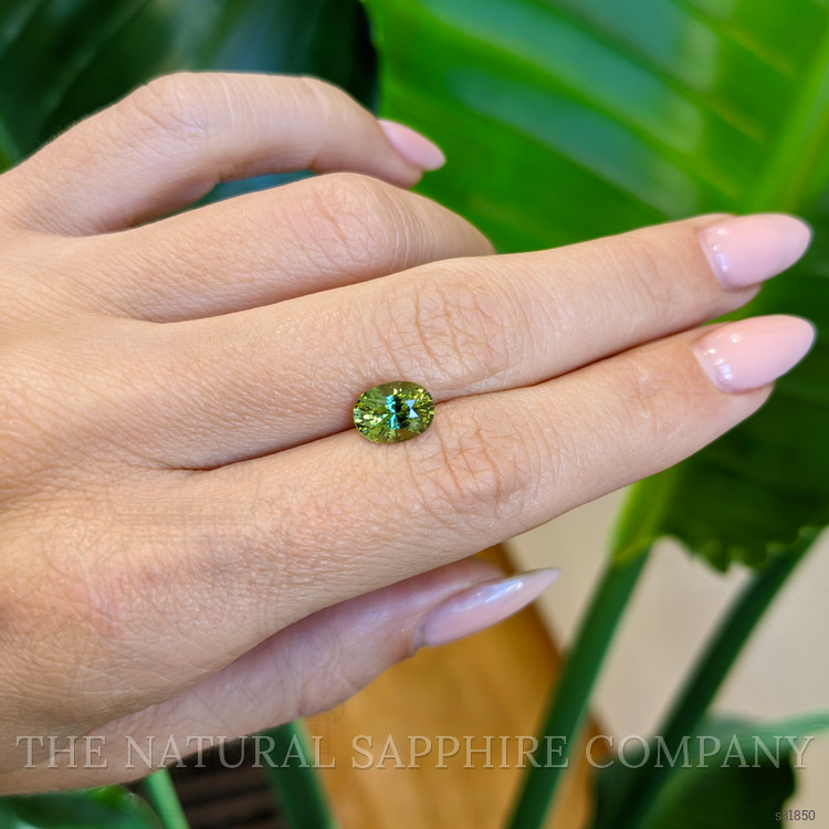 2.02 Ct. Yellowish Green Sapphire from Ceylon (Sri Lanka)