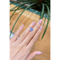 5.24 Ct. Blue Sapphire from Ceylon (Sri Lanka) Life Style