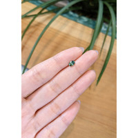 0.68 Ct. Bluish Green Sapphire from Madagascar Life Style