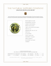 0.61 Ct. Yellowish Green Sapphire from Madagascar Scan Report