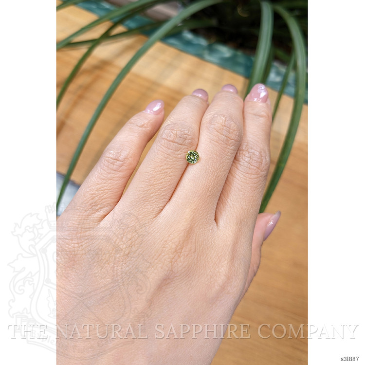 0.61 Ct. Yellowish Green Sapphire from Madagascar