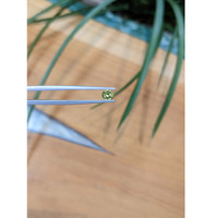 0.61 Ct. Yellowish Green Sapphire from Madagascar Life Style
