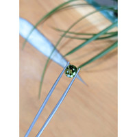 3.02 Ct. Green Sapphire from Thailand Life Style