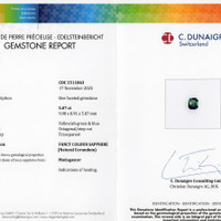 Jewelry Scan Report
