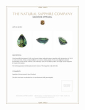 Jewelry Appraisal
