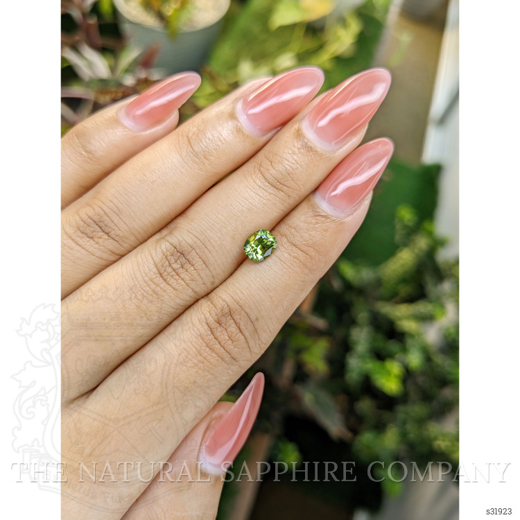 1.12 Ct. Yellowish Green Sapphire from Ceylon (Sri Lanka)