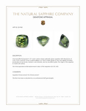 1.07 Ct. Yellowish Green Sapphire from Ceylon (Sri Lanka) Appraisal