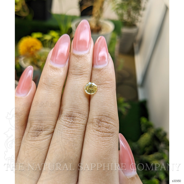 1.60 Ct. Yellow Sapphire from Ceylon (Sri Lanka)