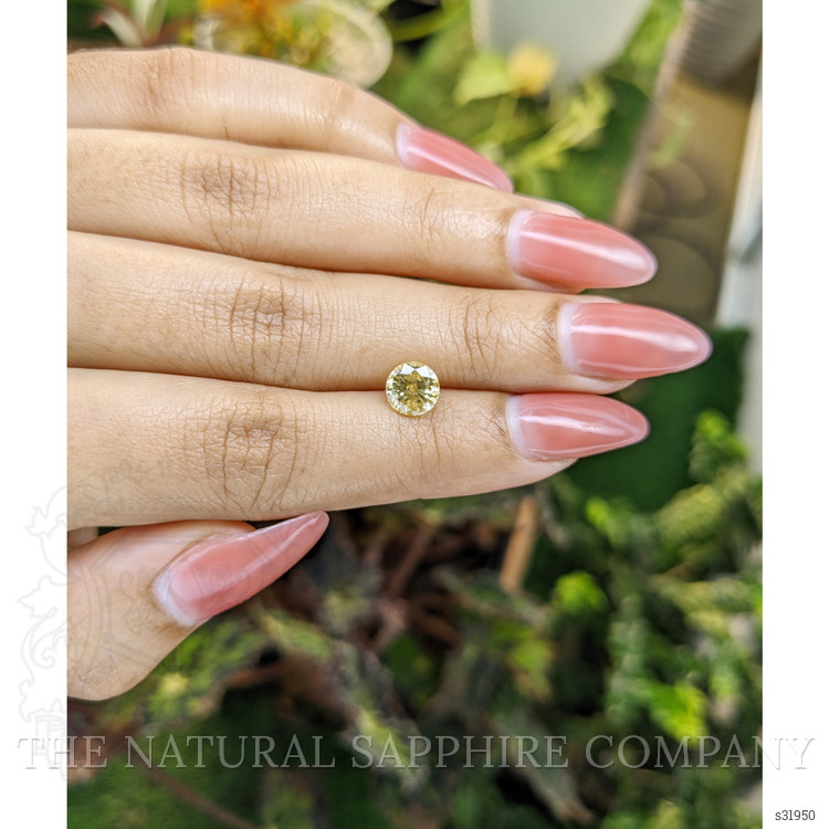 1.60 Ct. Yellow Sapphire from Ceylon (Sri Lanka)