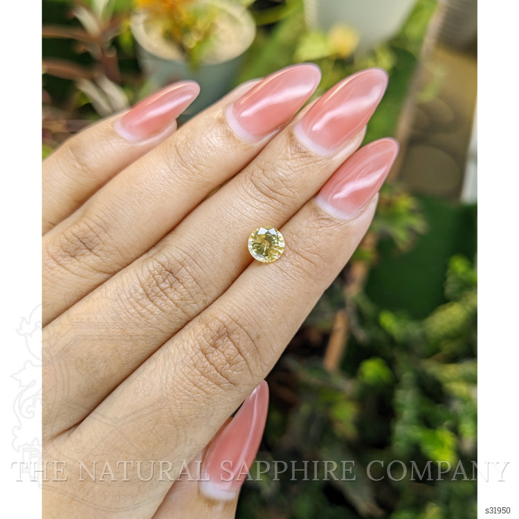 1.60 Ct. Yellow Sapphire from Ceylon (Sri Lanka)