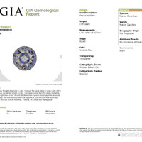 Jewelry Scan Report
