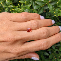 1.62 Ct. Padparadscha Sapphire from Ceylon (Sri Lanka) Life Style