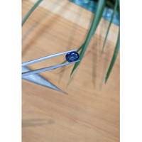 3.02 Ct. Blue Sapphire from Thailand Life Style