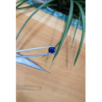 3.47 Ct. Blue Sapphire from Thailand Life Style