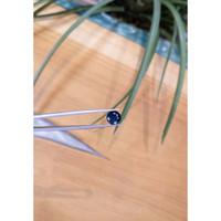 2.82 Ct. Blue Sapphire from Thailand Life Style