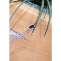 4.17 Ct. Blue Sapphire from Thailand Life Style