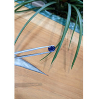 3.86 Ct. Blue Sapphire from Thailand Life Style