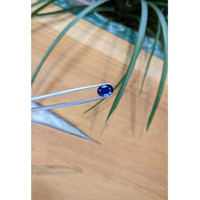 3.26 Ct. Blue Sapphire from Thailand Life Style